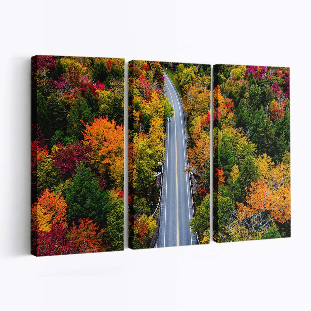 autumn colors forest road wallpaper