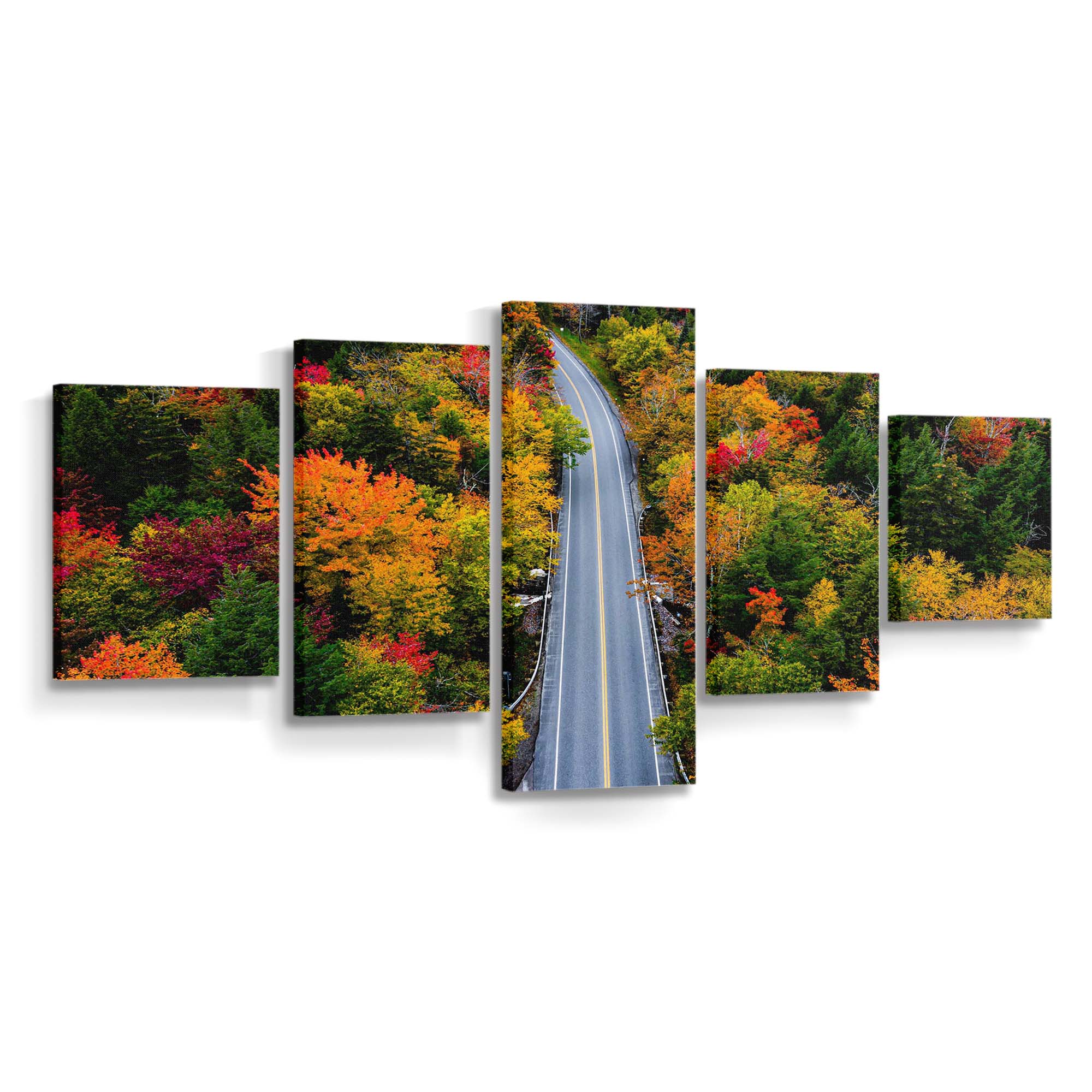 autumn colors forest road wallpaper