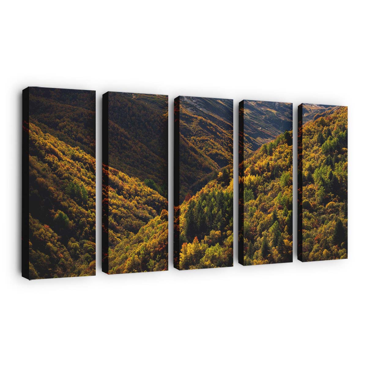 Herbstfarben Ushguli Georgia - Leinwandbild autumn colors ushguli georgia wallpaper