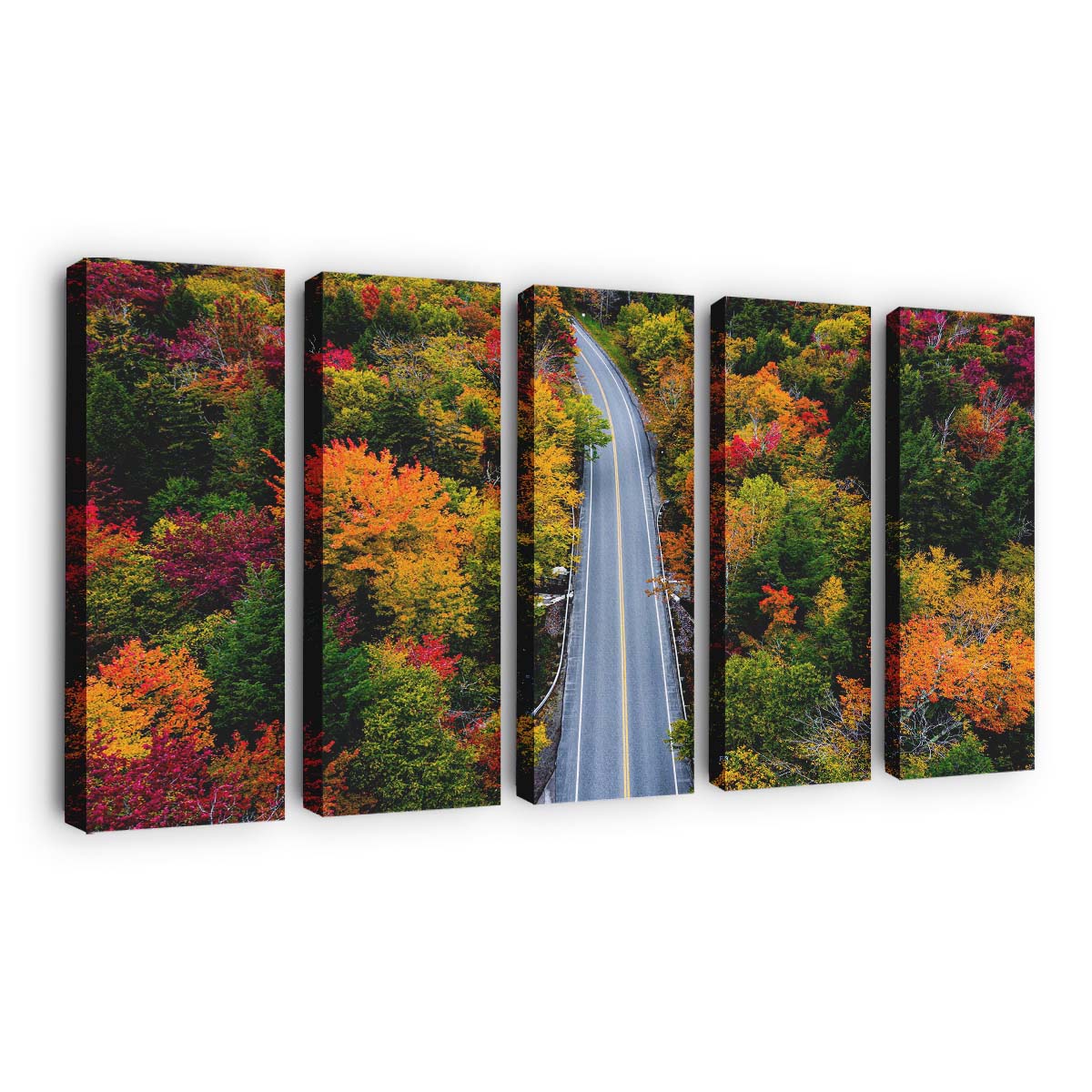 autumn colors forest road wallpaper